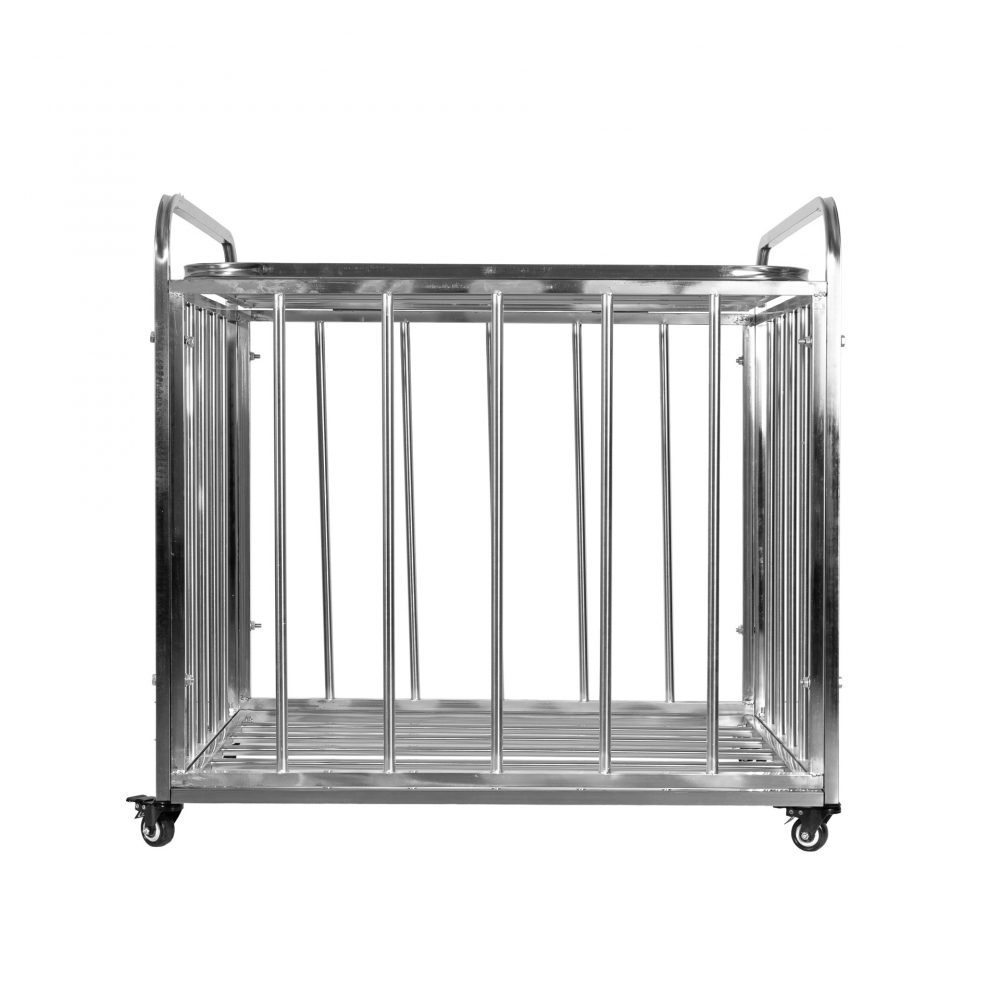 Shop Primary Image